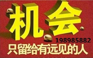 代理中的戰斗機 hz代理小顏，助您領航商海新高度